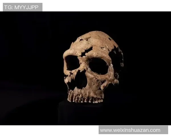 探索奥蓬达的魅力与历史揭示其在现代文化中的独特地位与影响力